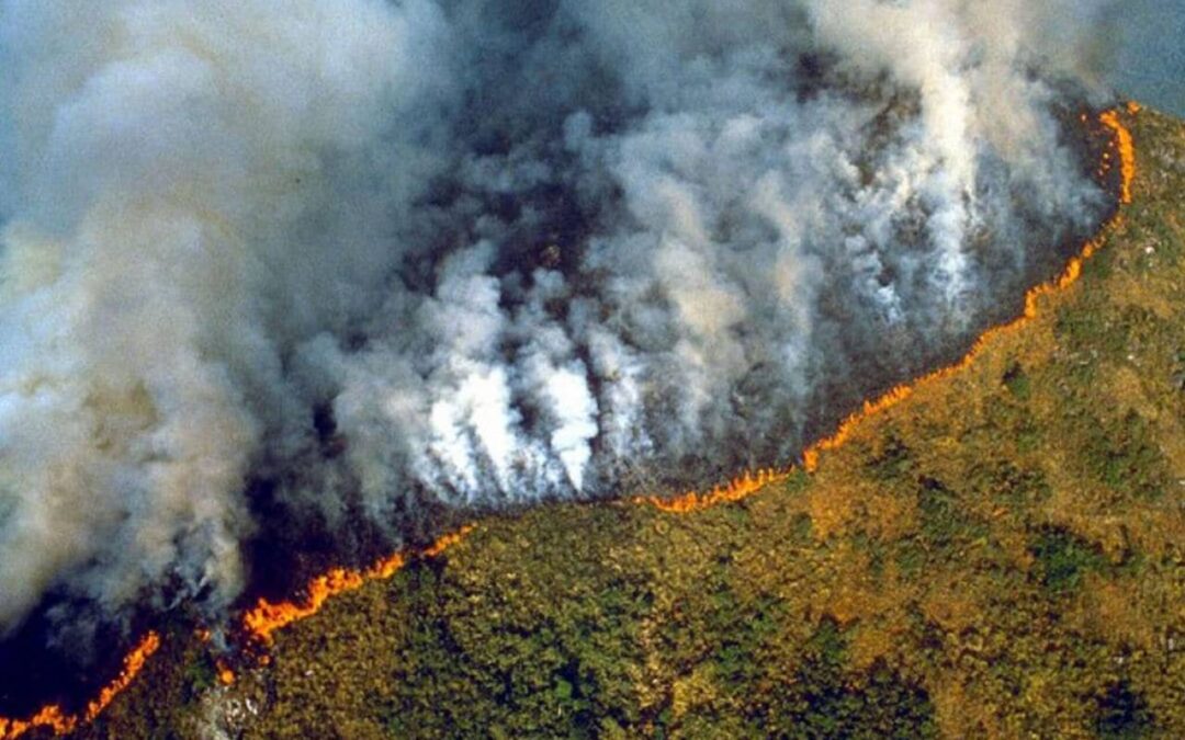 L’Amazzonia brasiliana registra il record di incendi degli ultimi vent’anni